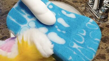 Squeaky Clean Sex Toy - 9 image