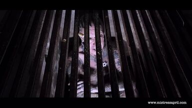 Female-Dominant Bitch Goddess April - The Grossenhain File prison interrogation - 1 image