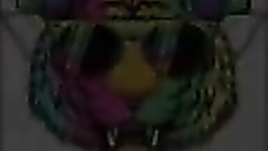 The almost any degenerate Mexican puts a sex-toy in and pisses on your face! - 3 image