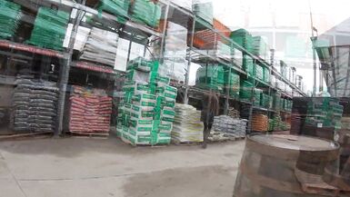 Longpussy, Short sweater and Lengthy, Little Love Melons in Public. - 8 image