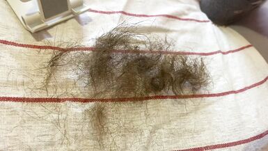 TRIMMING MY SUPER LENGTHY VAGINA HAIR CLOSEUP