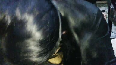 Beauté aux cheveux longs en tenue de nonne adorant une grosse bite