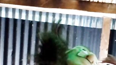 RELIGIOUS STEPSISTER FUCKS AFTER HER MEETING WITH DEVOTEES! I WAIT FOR HER IN HER NAKED ROOM, SHE PUT ON A MASK AND ASKED ME FOR INTENSE PENETRATION TO RELAX - 6 image