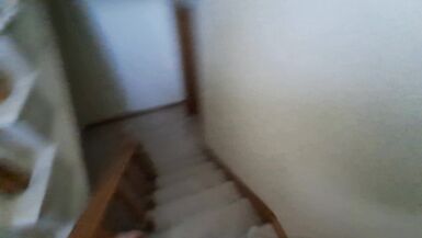 Esposa se esconde en bolsa de viaje y recibe creampie anal del mejor amigo de su marido - 12 image