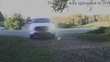 Trixie rubs one out in the parking lot - 3 image