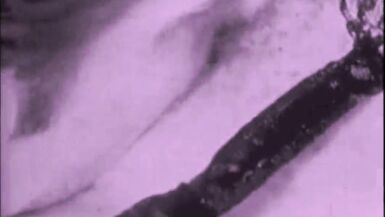 Vintage Oma Fanny - 15 image