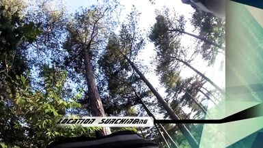 UDA La calda casalinga Milf viene scopata duramente fuori nel bosco - 2 image