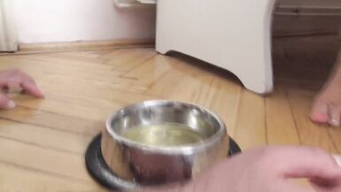 Femdom Brats Humiliate Slaves with Feeding Extreme - 5 image