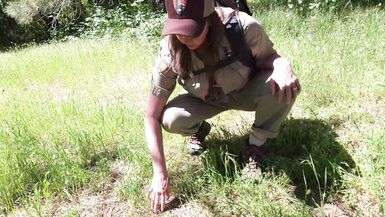 A Sexy Mature MILF Park Ranger Sucks And Fucks A Lost Hiker Till He Shoots his Load On Her Huge Tits.-Roxie the MILF Park Ranger - 8 image