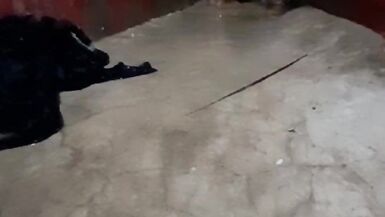 Per la prima volta ho mostrato le mie tette e la mia figa davanti alla telecamera - 13 image
