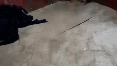 Per la prima volta ho mostrato le mie tette e la mia figa davanti alla telecamera - 15 image