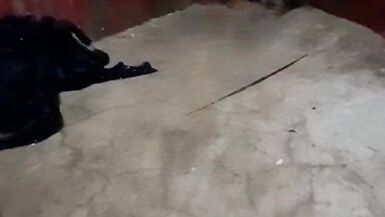 Per la prima volta ho mostrato le mie tette e la mia figa davanti alla telecamera - 2 image