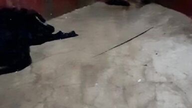 Per la prima volta ho mostrato le mie tette e la mia figa davanti alla telecamera - 4 image