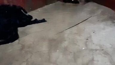 Per la prima volta ho mostrato le mie tette e la mia figa davanti alla telecamera - 5 image