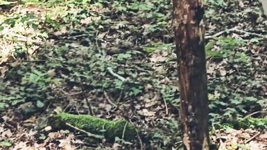 Mature Milf Looking for a stranger in the woods to suck and jerk him off thoroughly until he cums in my mouth - 12 image