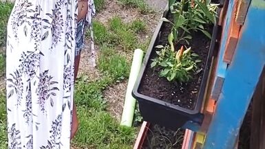 Giardinaggio senza maglietta! - 10 image