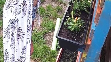Giardinaggio senza maglietta! - 11 image
