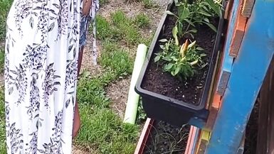 Giardinaggio senza maglietta! - 12 image