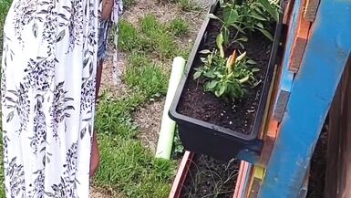 Giardinaggio senza maglietta! - 13 image