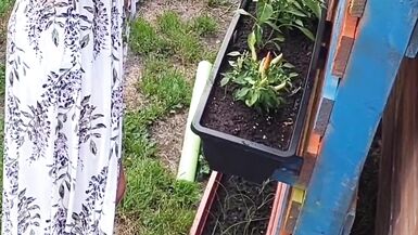 Giardinaggio senza maglietta! - 15 image