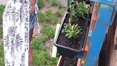 Giardinaggio senza maglietta! - 8 image