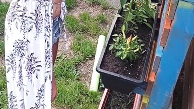 Giardinaggio senza maglietta! - 9 image