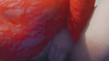 En robe rouge en dentelle jouant avec ma chatte