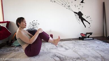 Goddess Aurora Willows Mobility Class 285 - 10 image
