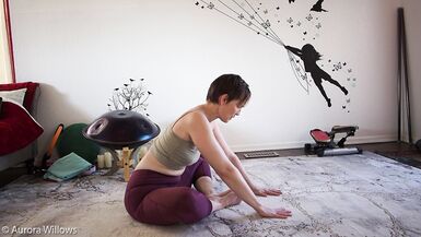 Goddess Aurora Willows Mobility Class 285 - 13 image