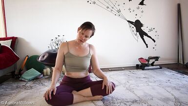 Goddess Aurora Willows Mobility Class 285 - 14 image