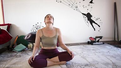 Goddess Aurora Willows Mobility Class 285 - 15 image