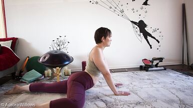 Goddess Aurora Willows Mobility Class 285 - 5 image