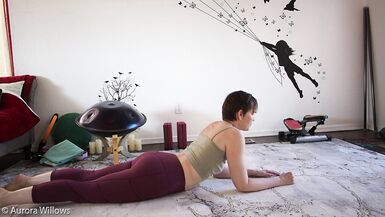 Goddess Aurora Willows Mobility Class 285 - 8 image