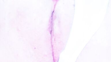 Masturbating my pussy nicely on webcam