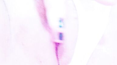 Masturbating my pussy nicely on webcam