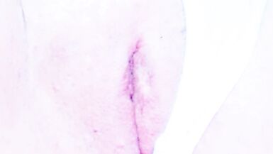 Masturbating my pussy nicely on webcam