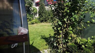 I spy on my stepmother, she is sunbathing naked in the yard - 9 image