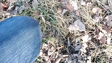 Ein wenig Sonnenschein im Wald - 1 image