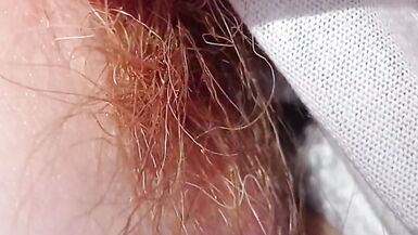 A little sunshine in the forest