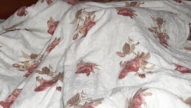 My stepmother came to my bed for mutual masturbation.