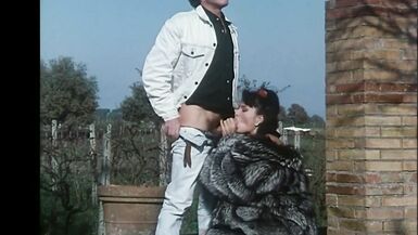 Merveilleuse MILF vintage aux gros seins et à la chatte poilue Baise le cul et se fait éjaculer dans la bouche par une grosse bite - 9 image