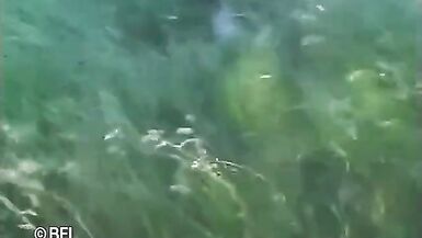 Wrinkled sex, part 9