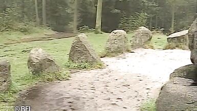 Girls From the Netherlands 1