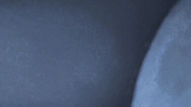 Nice blonde girlfriend she loves sex