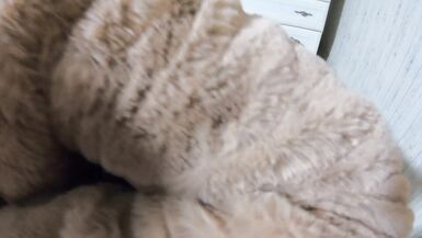 Romantic Fucking and Cum Play on a Fur-coat Linner 268 - 3 image