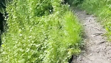 Extremer Spaziergang in einem öffentlichen Park - 1 image