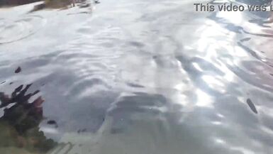 A stranger feeds my sperm to fish in front of everyone - 7 image