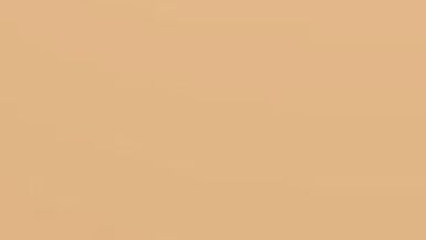 Dries Breyne gets a rough fisting and a hot pussy toy in part 4 of Porn in Flanders - 3 image