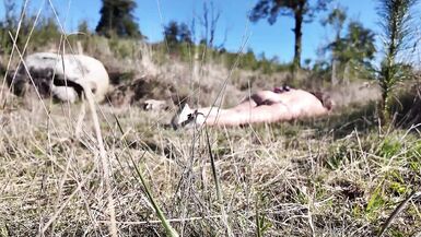 Watch the curvy MILF exhibitionist walk in the woods and flash her pretty face while taking risky sex and cumshots - 5 image