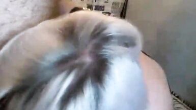 AimeeParadise et Peter Stone échangent des messages cochons et torrides à la soirée